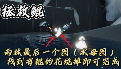 《光遇》2021年12月6日每日任务攻略