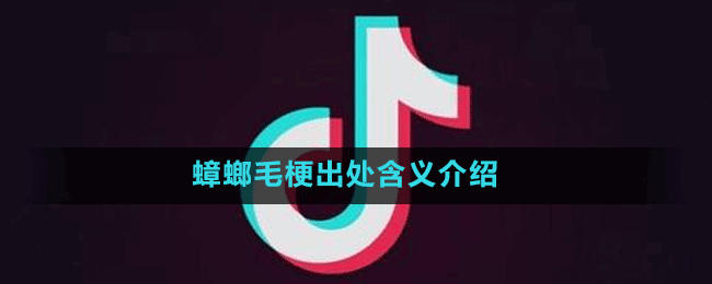 蟑螂毛梗出处含义介绍