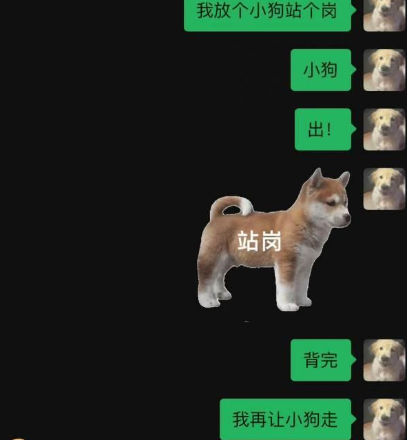 站岗小狗梗出处含义介绍