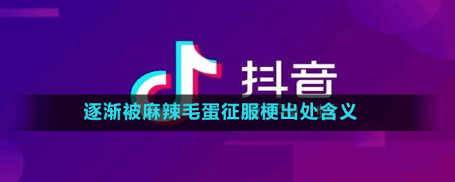 逐渐被麻辣毛蛋征服梗出处含义