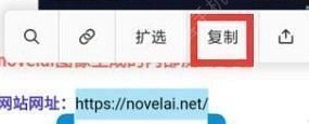 《novelai》图像生成的内部测试地址分享