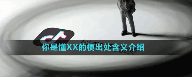 你是懂XX的梗出处含义介绍