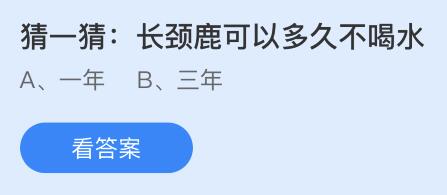 支付宝蚂蚁庄园12月19日答案最新