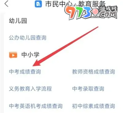 《支付宝》2023中考查分方法