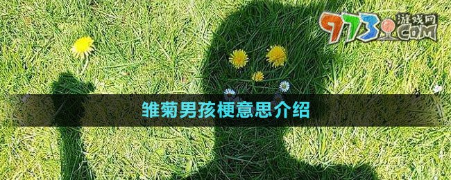 《抖音》雏菊男孩梗意思介绍