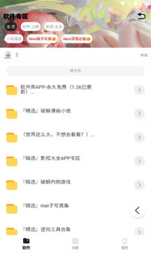 倾城软件库1.2.6版截图(4)