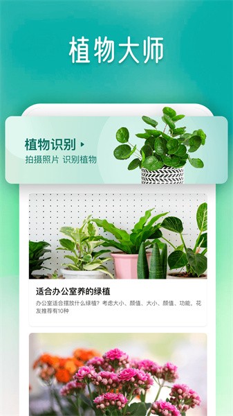 植物大师截图(1)