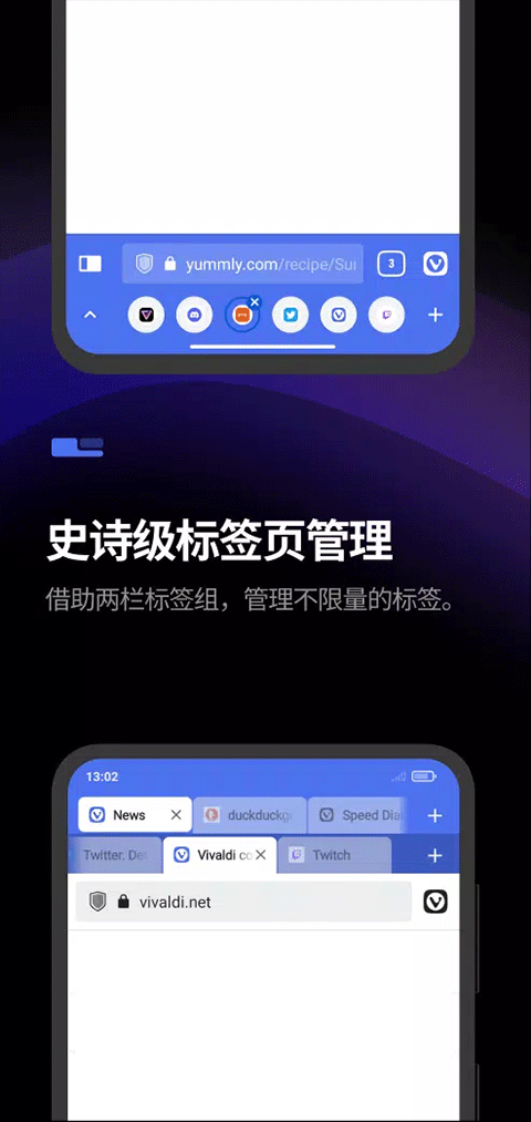 Vivaldi浏览器手机版截图(3)