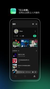 豆瓣FM桌面版截图(4)