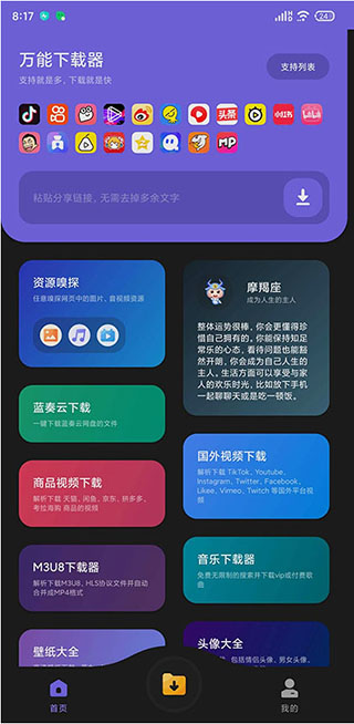 万能下载器中文版截图(1)