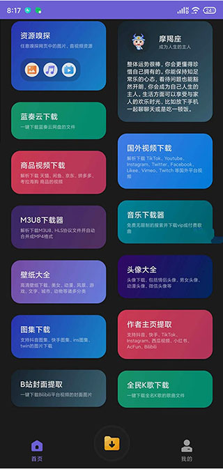 万能下载器中文版截图(2)