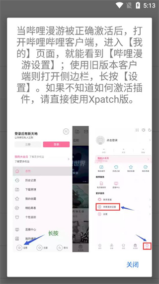 哔哩漫游xpatch版截图(3)