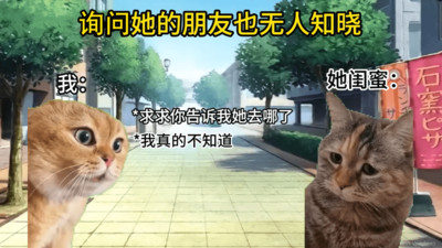 猫meme搞怪冒险截图(1)