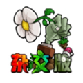 pvz杂交版植物大促销