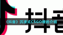 《抖音》沉浸式CSGO梗的介绍