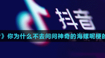 《抖音》你为什么不去问问神奇的海螺呢梗的介绍