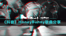 《抖音》HoneyBunny歌曲分享