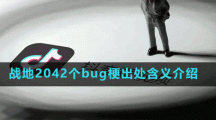 战地2042个bug梗出处含义介绍