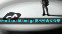 emotionaldamage梗介绍