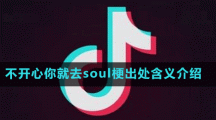 不开心你就去soul梗出处含义介绍