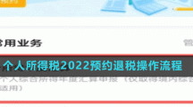 个人所得税2022预约退税操作流程