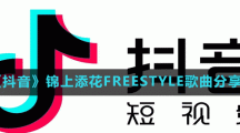 《抖音》锦上添花FREESTYLE歌曲分享