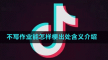 不写作业能怎样梗出处含义介绍