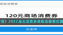 《支付宝》2022湖北消费券领取后查看位置介绍