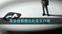 淘宝伪装梗出处含义介绍