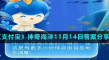 《支付宝》神奇海洋11月14日答案分享