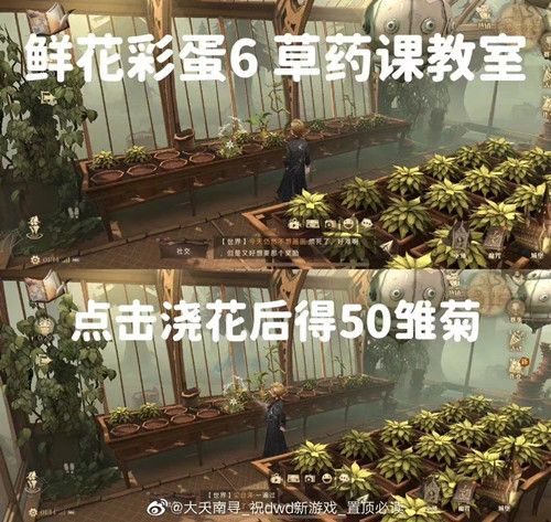 《哈利波特魔法觉醒》6个鲜花彩蛋位置触发方法