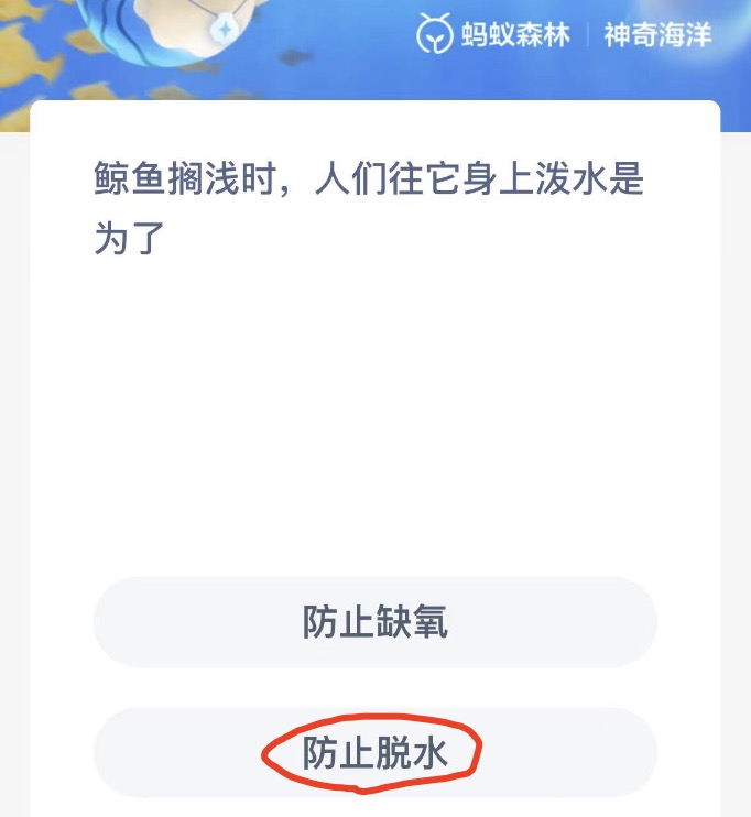 《支付宝》神奇海洋11月3日答案分享